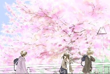 猫咪app官方社区入口