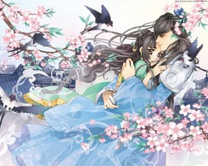 芒果回家导航官网